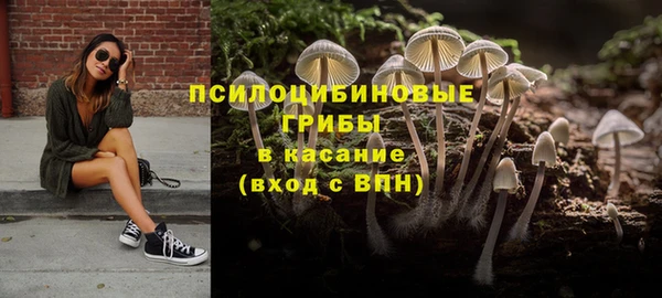 соль ск Алексеевка