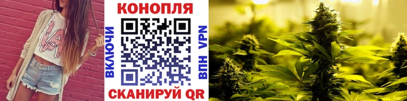 закладка  Балашов  Каннабис OG Kush 